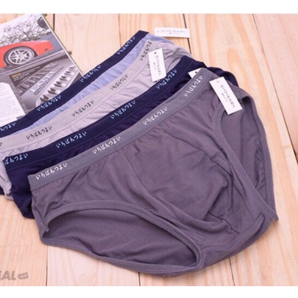 Quần sịp tam giác Cotton cao cấp kháng khuẩn xuất nhật khử mùi hôi cho nam LOTNAM02