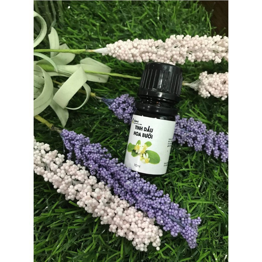 Tinh dầu thơm phòng nhẹ nhàng 12 mùi hương đa dạng