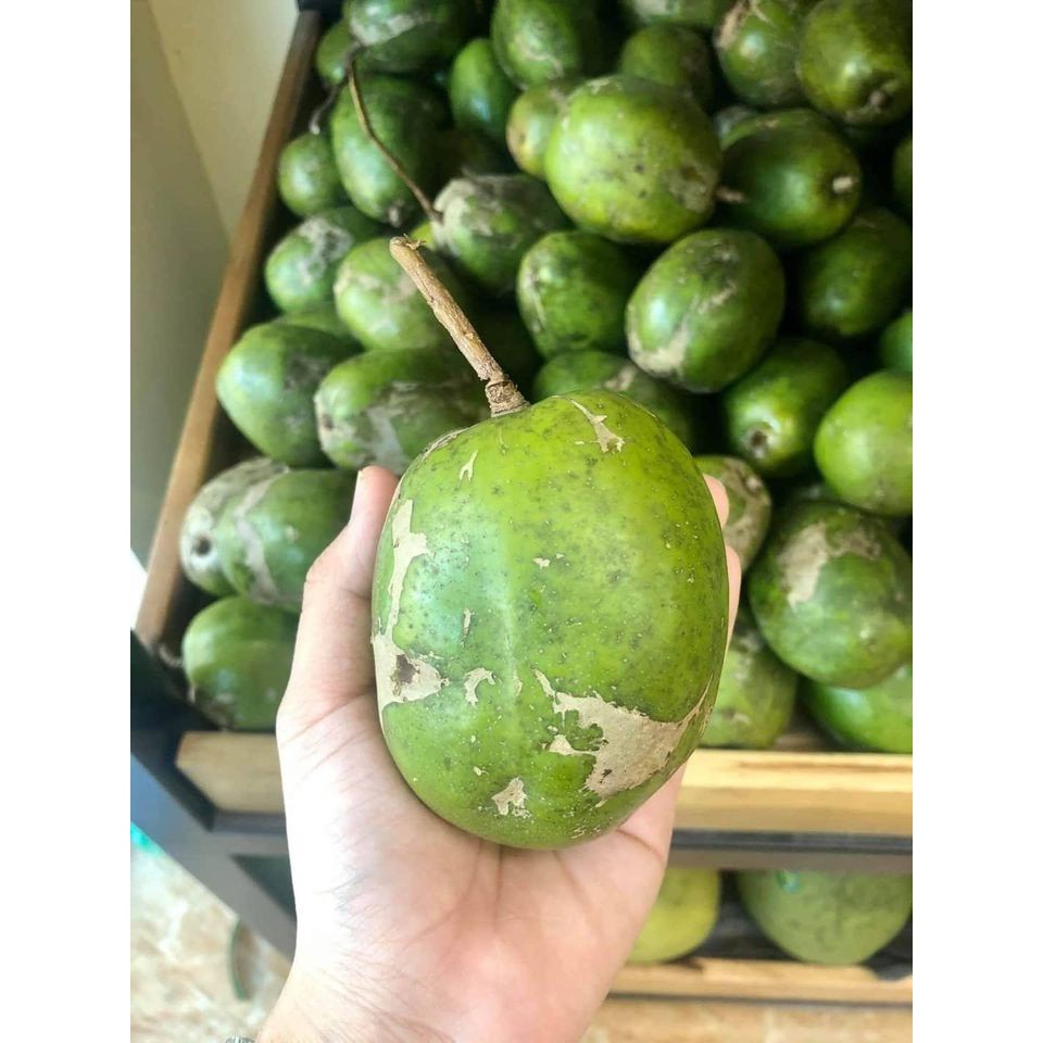 Cóc Cầy To Giòn Siêu Tươi Chảy Nước Miếng 24/24 (Giao trong vài giờ) TP.HCM