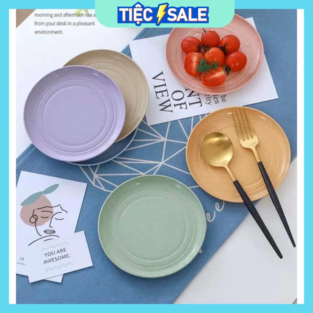 SET 6 ĐĨA NHỰA LÚA MẠCH MÀU PASTEL MẪU 2020