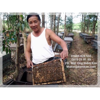Mật Ong Hoa Nhãn Hưng Yên