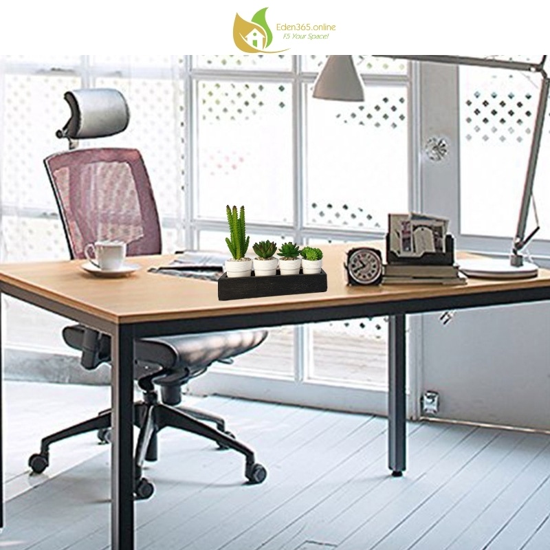 Chậu cây sen đá tiểu cảnh mini để bàn, chậu hoa sen đá với khay gỗ - Quà tặng sinh nhật, bạn bè, đồng nghiệp - Kute Nest