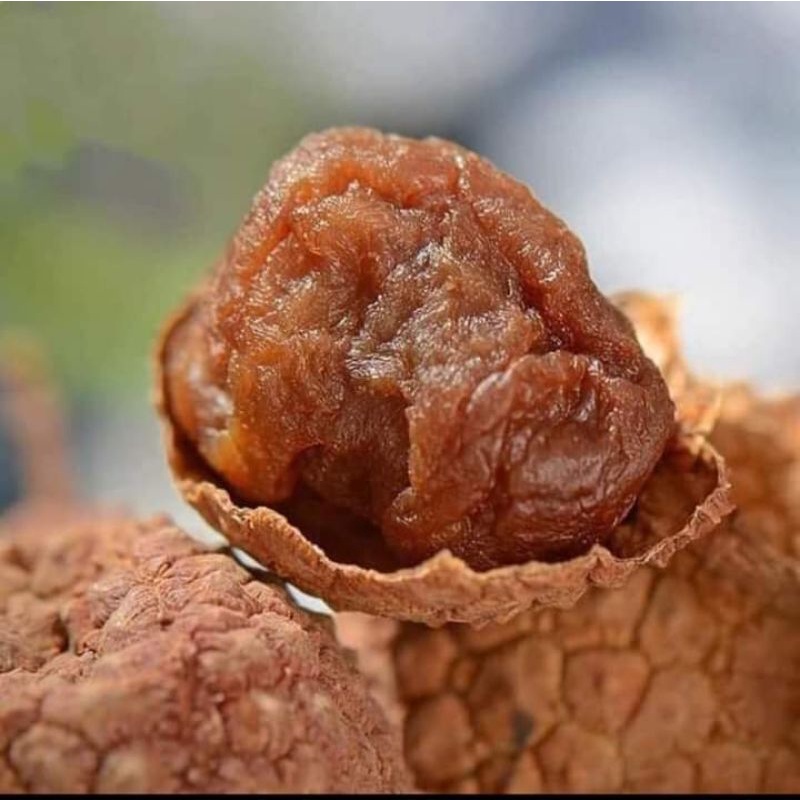 1kg vải sấy khô chính gốc bắc giang | BigBuy360 - bigbuy360.vn