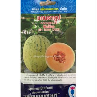 DƯA LƯỚI HAMI VỎ VÀNG THÁI LAN