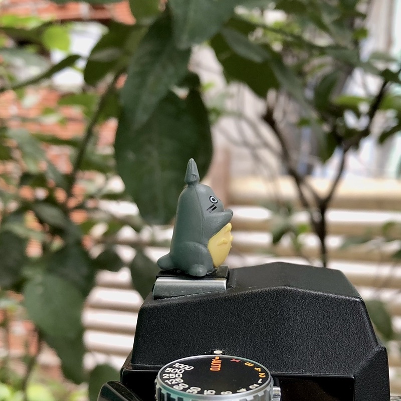 Hotshoe Totoro nắp che chân flash máy ảnh - Totoro bụng bự