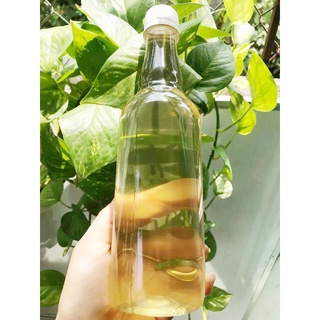 Dầu dừa Bến Tre nguyên chất chai 500ml _ dầu dừa nấu thủ công