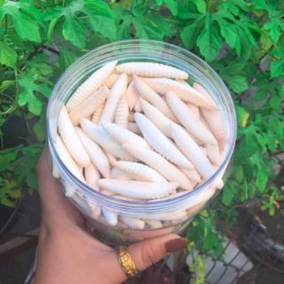 Bánh đuôn sữa 500g