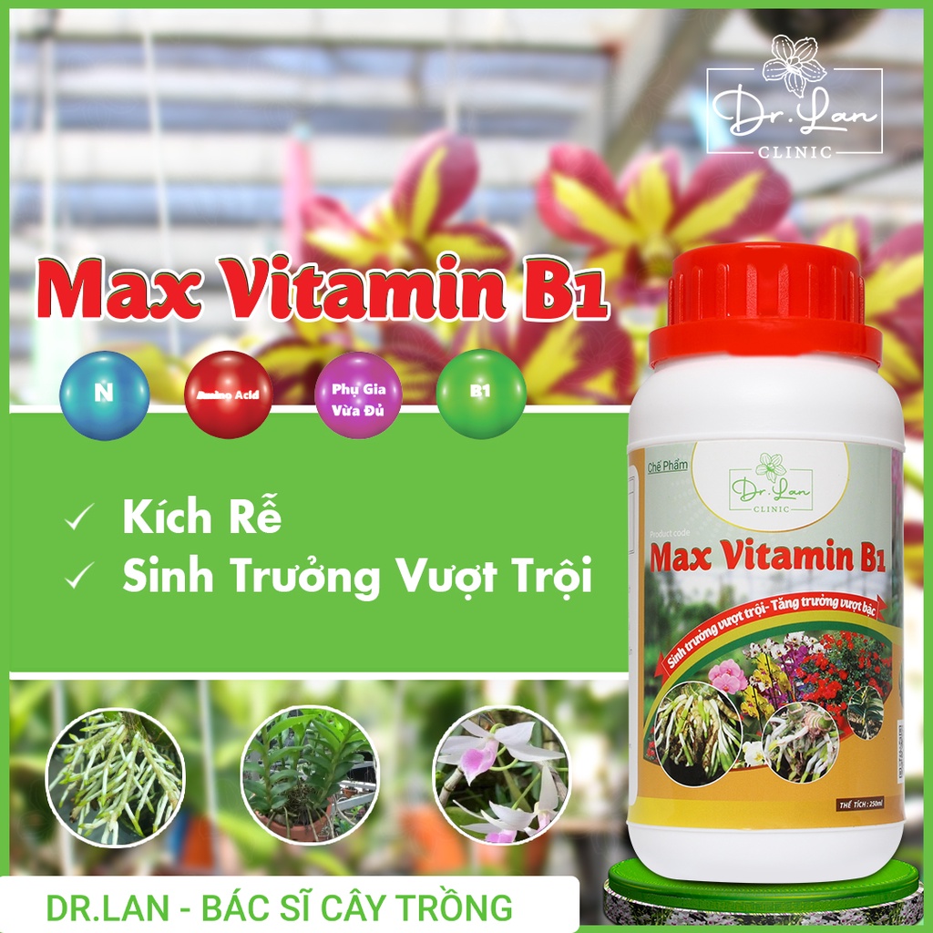 Phân Bón Max Vitamin B1 (17 loại Amino acid, B1) – Chai 250 ml