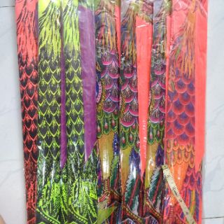 Diều phụng 3 đuôi lớn