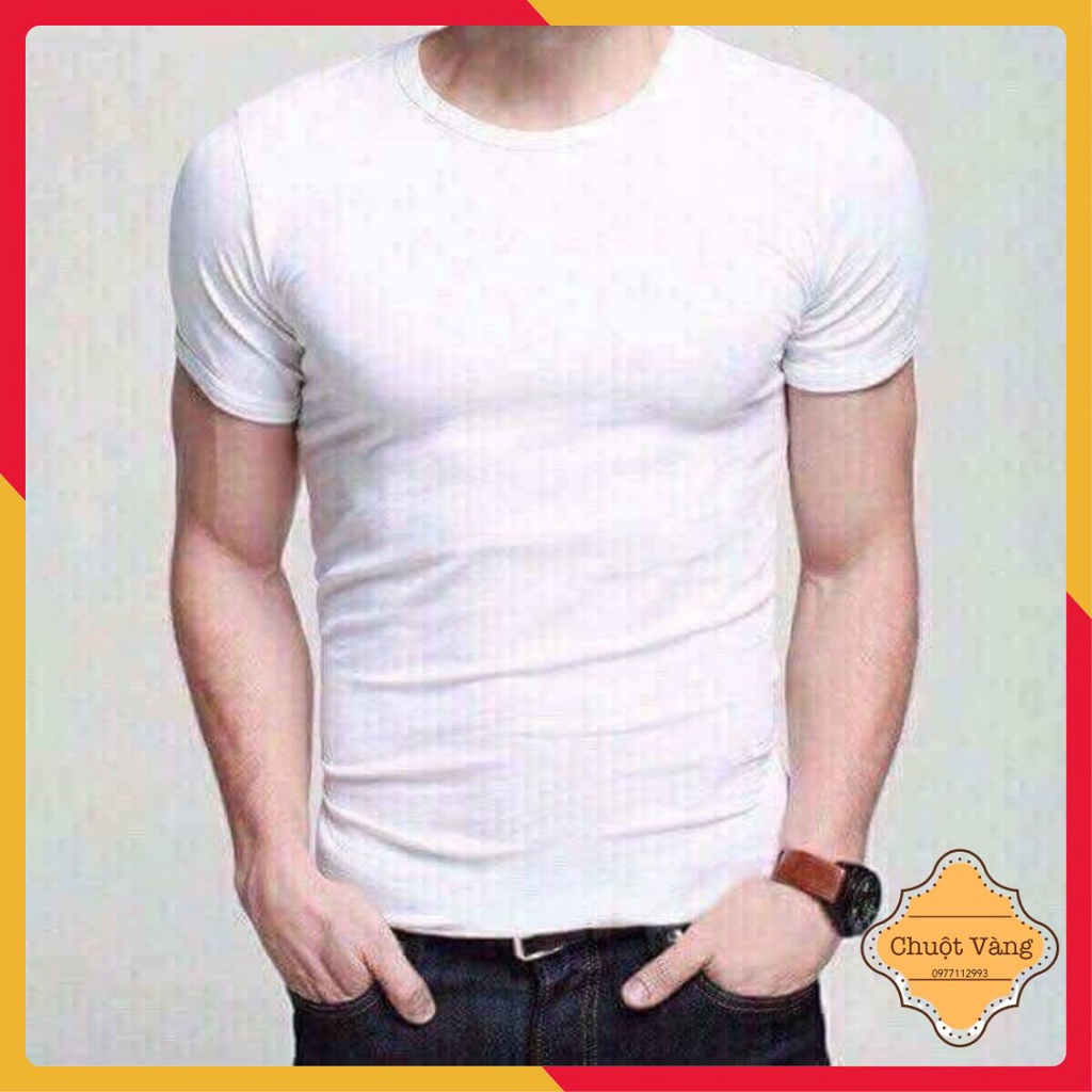 Áo cộc tay trắng nam Maxtino