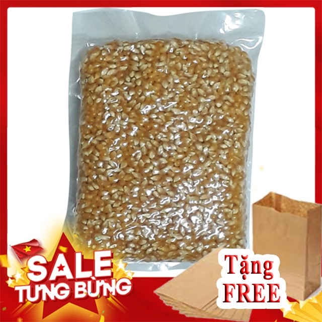 [Ngô loại 1 - Hút Chân Không] Túi 1KG Ngô mỹ USA-L1 chuyên nổ bắp rang bơ tại nhà Tặng kèm 03 Túi giấy đựng bỏng ngô