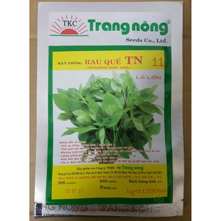 Hạt Giống Rau Quế Chịu Nhiệt