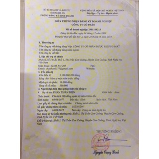 Trà túi lọc Dây Thìa Canh