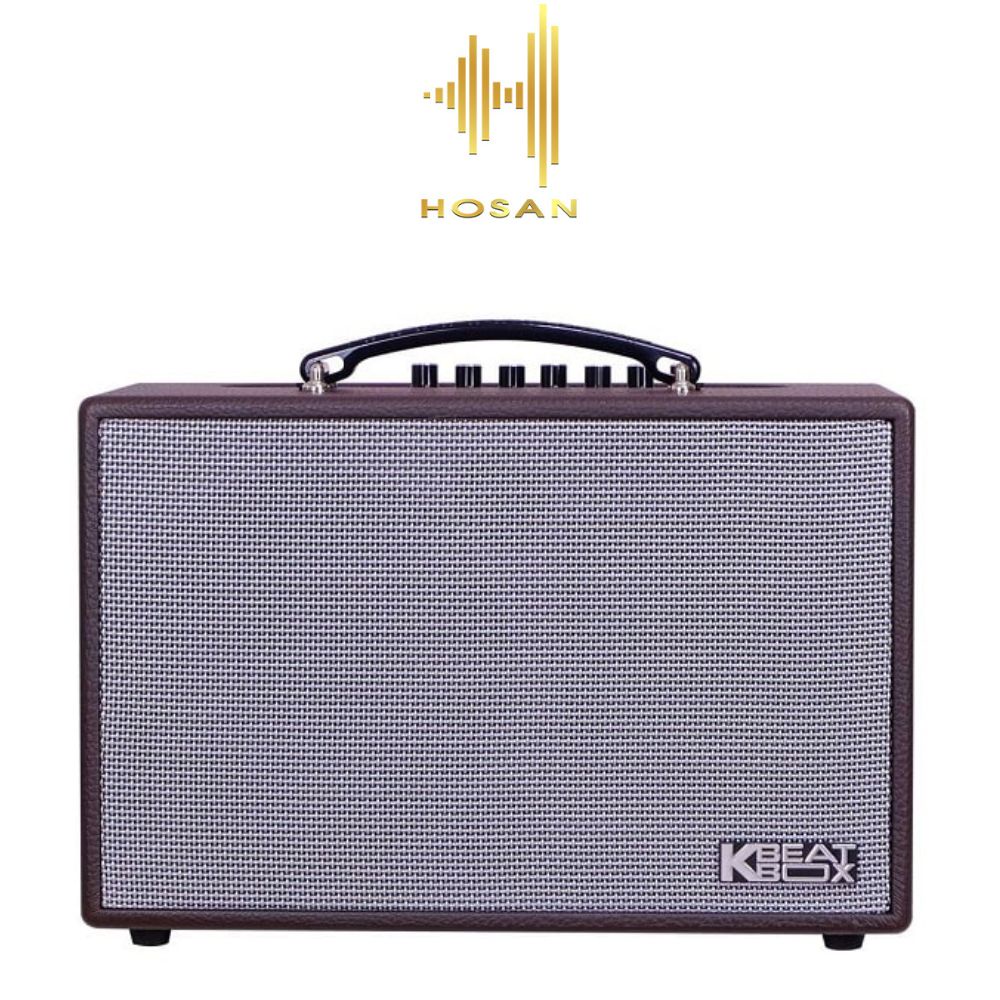 Loa HOSAN CS160 thùng gỗ bọc da kết nối bluetooth 5.0 tặng kèm micro không dây cao cấp