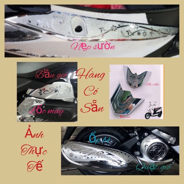 Ốp trang trí latte 7 món tuỳ chọn các đời