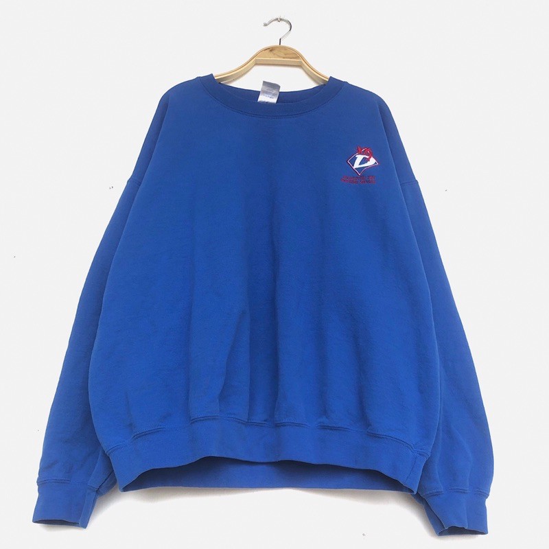 ÁO NỈ FORM RỘNG | BigBuy360 - bigbuy360.vn