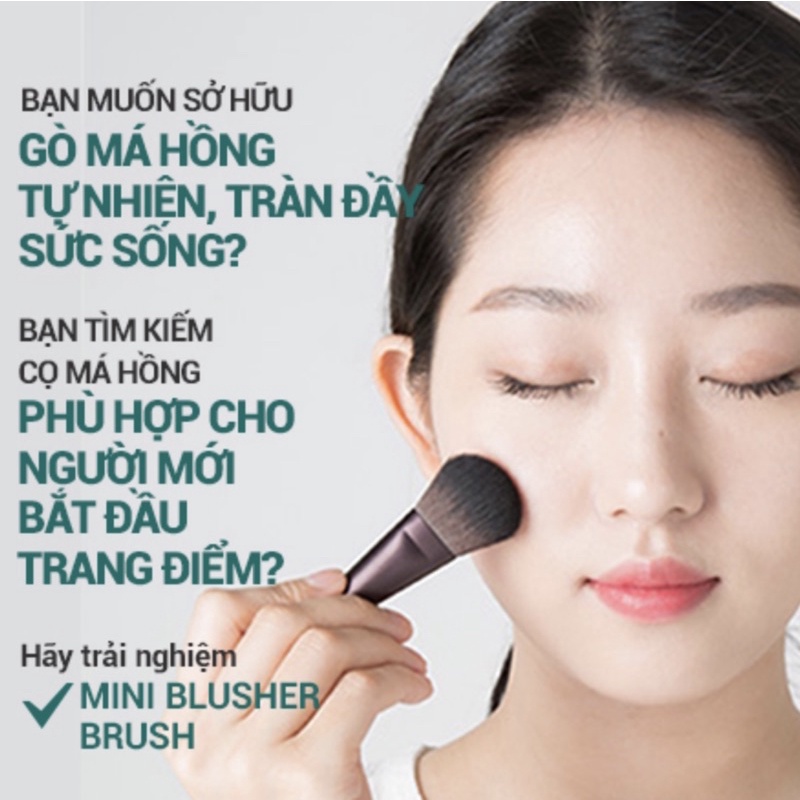 Cọ má hồng innisfree Mini Blusher Brush