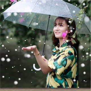 Áo sơ mi chuối nền đen