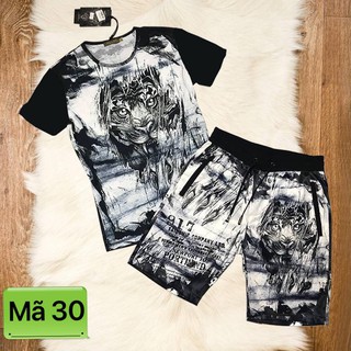 Bộ nam 3d hè cao cấp mã 30 .