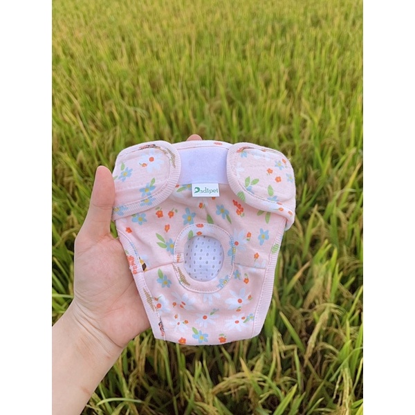 Quần sinh lý cho chó cái Dadipet