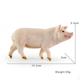 Mô Hình Động Vật Hoang Dã Sinh Động