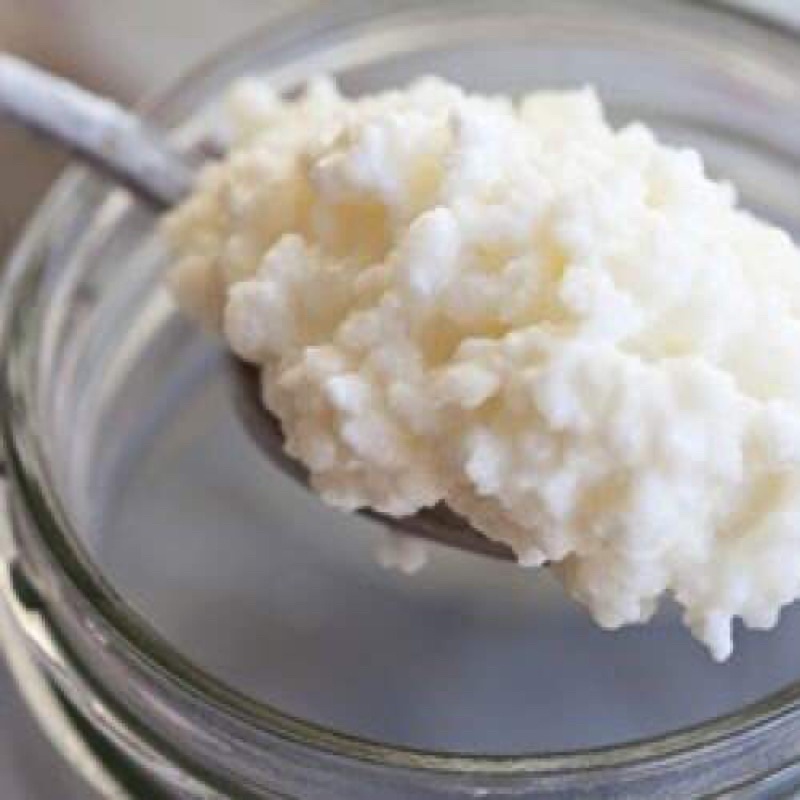 Combo Nấm sữa kefir + Khăn xô + Rây nhựa. Tặng thìa nhựa