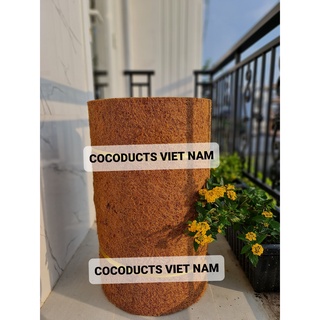 Thảm Xơ Dừa Dạng Cuộn Xuất Khẩu