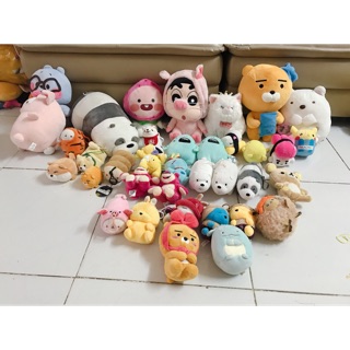 Set gấu Shin heo