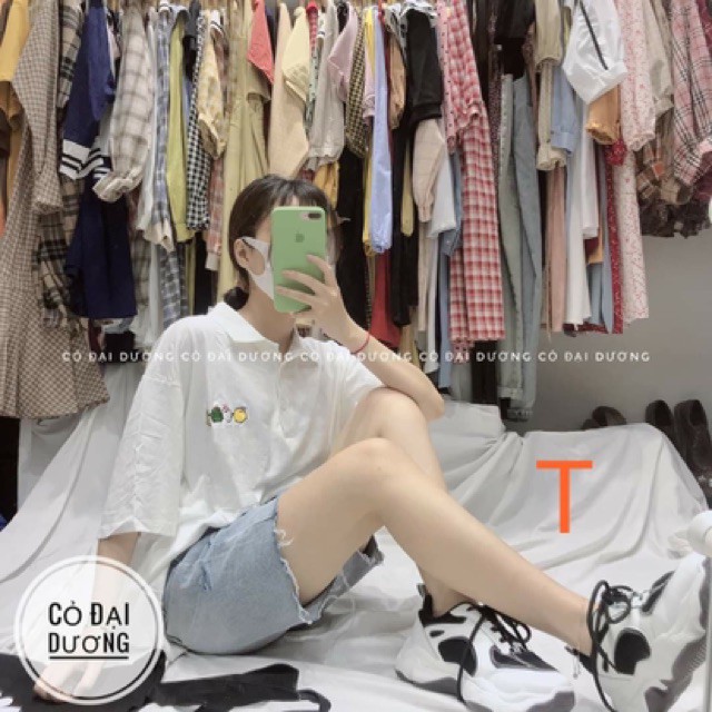 Áo polo bốn chú gà TT12