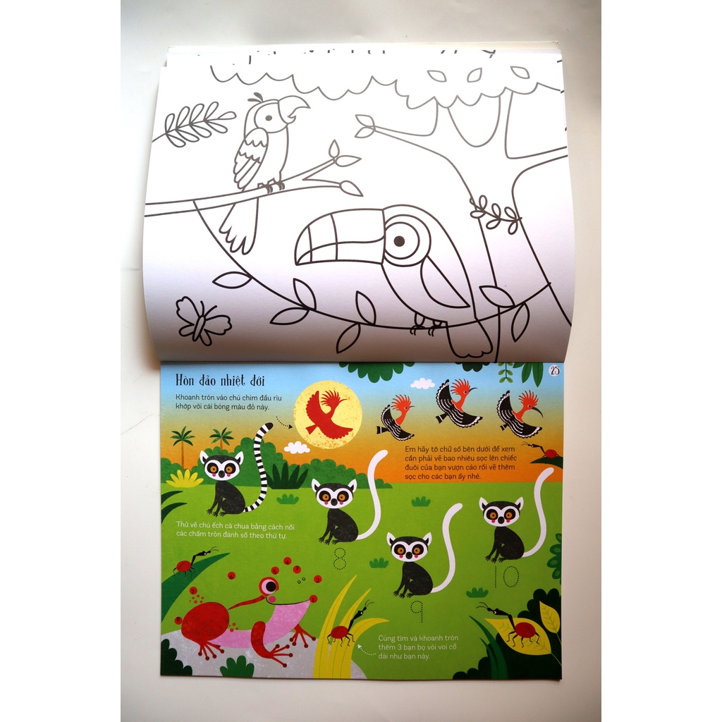 Sách - Trò chơi phát triển tư duy – KHÁM PHÁ RỪNG XANH