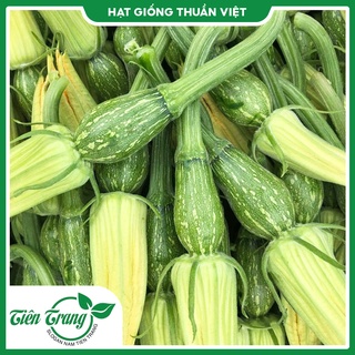 Hạt giống bí ăn nụ tn