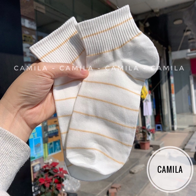 Tất nữ cổ ngắn cute dễ thương set 5 đôi vớ nữ phong cách Hàn Quốc CAMILA T19
