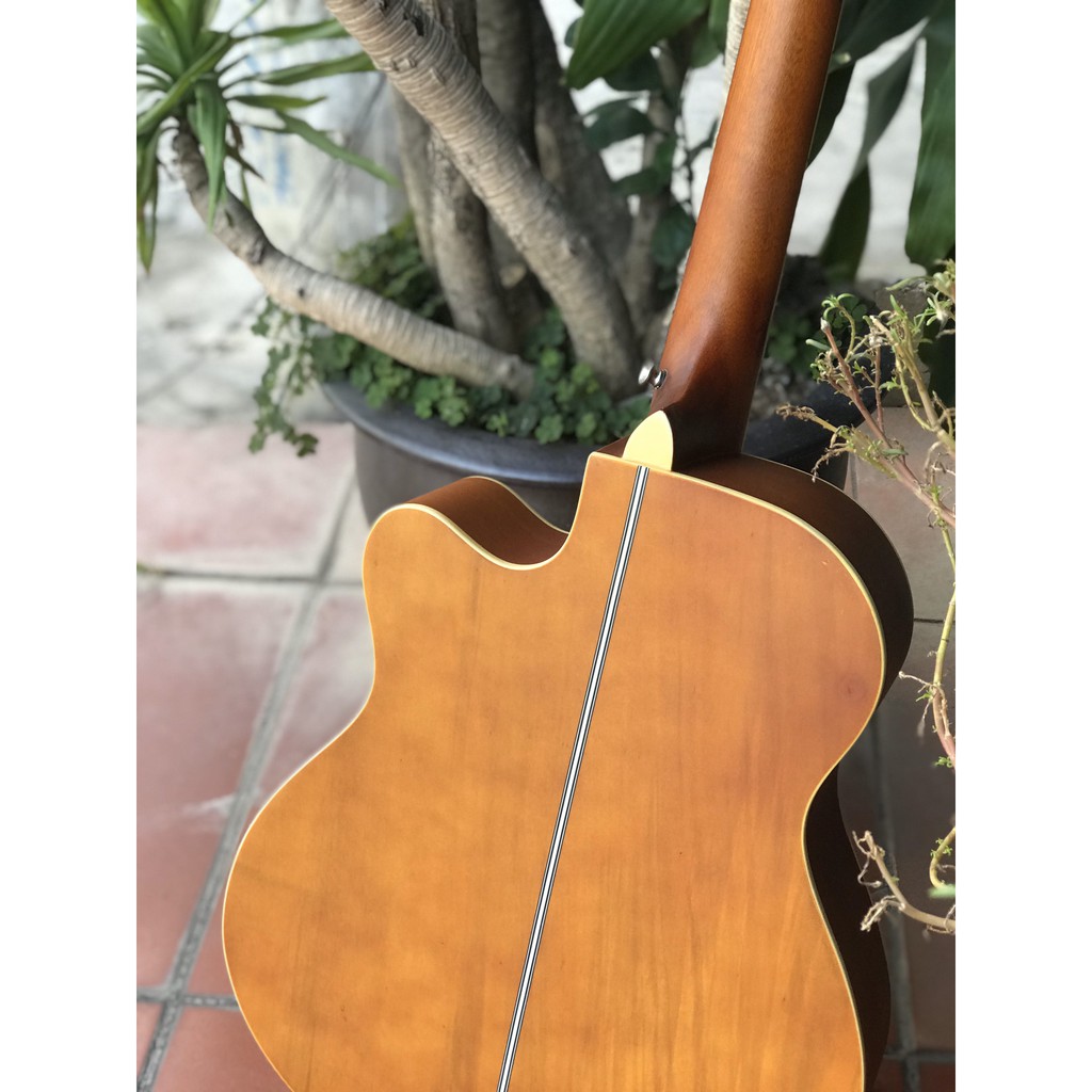 Đàn Guitar Acoustic Vines VA3940N - Sol.G