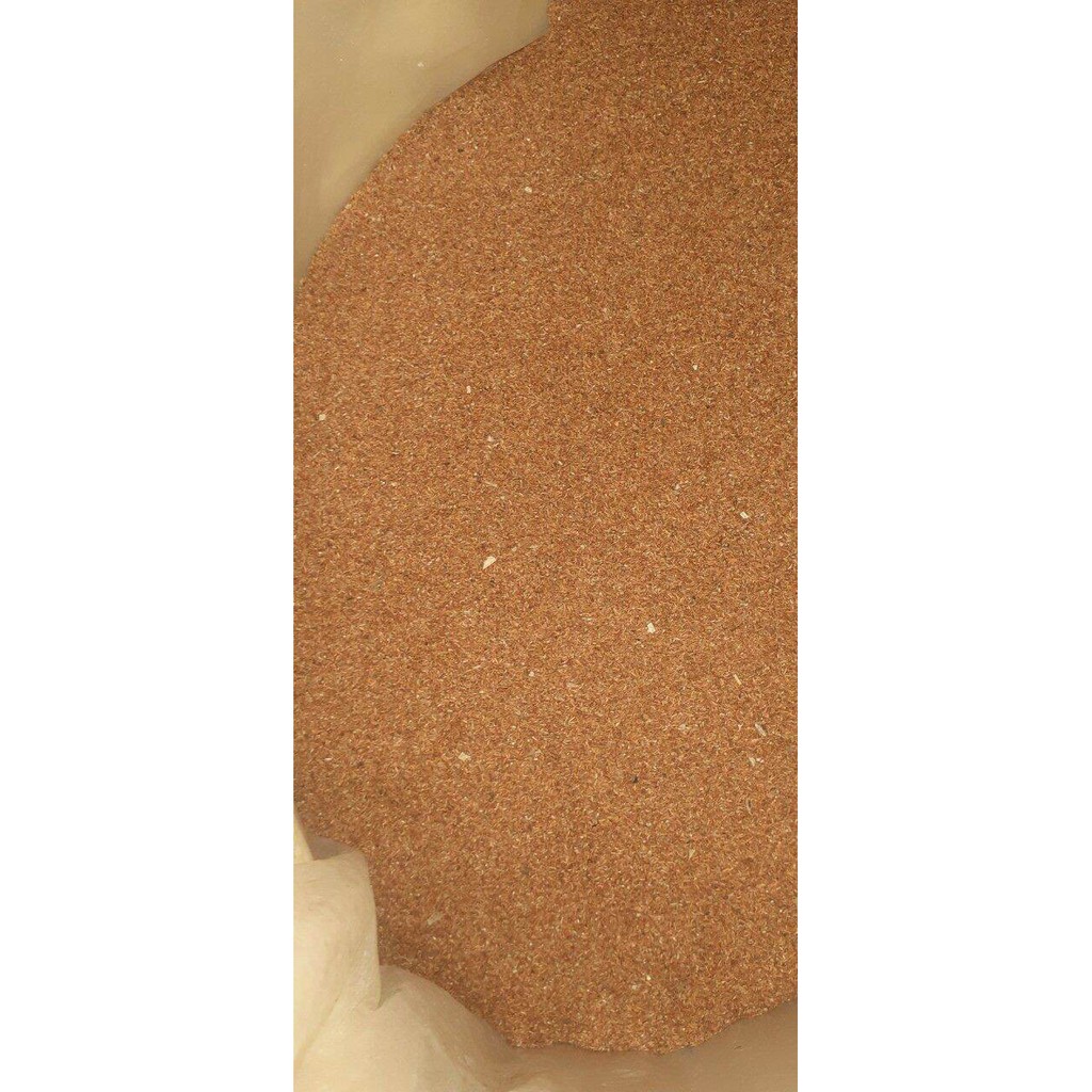 100 gram hạt bạch đàn trắng giống