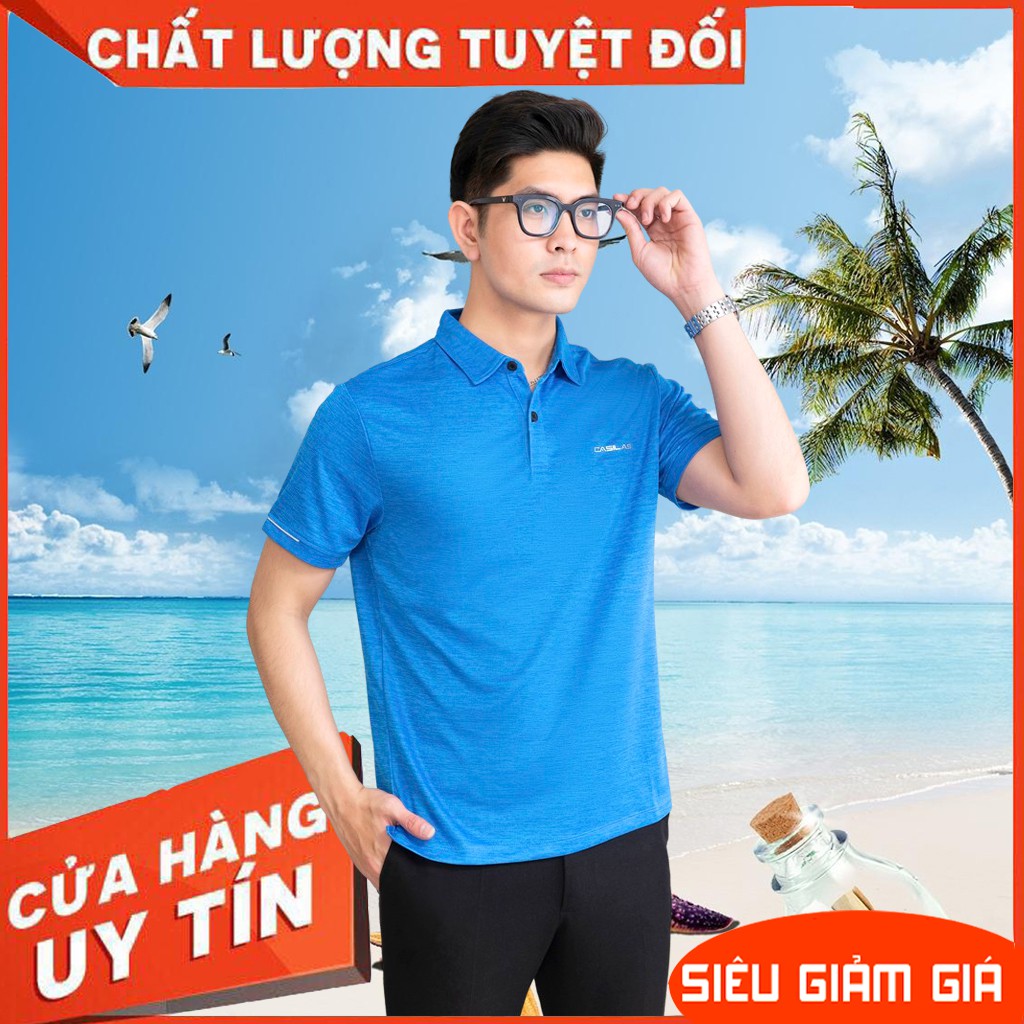 Áo thun nam tay ngắn, áo phông nam có cổ, vải mềm mịn, form regular fit P2008 Chính Hãng | BigBuy360 - bigbuy360.vn