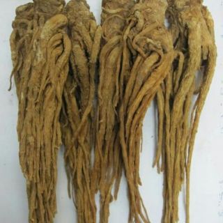 100g sâm đương quy khô