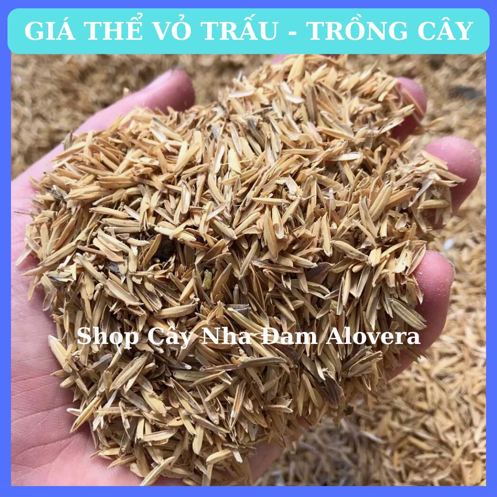 Giá Thể Trấu Sống Trồng Cây
