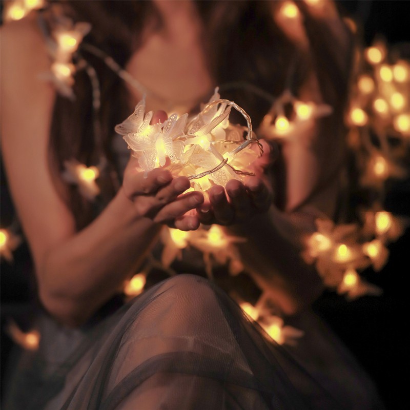 Dây Đèn Led Bươm Bướm Trang Trí 3m Siêu Lung Linh (Dùng Pin)