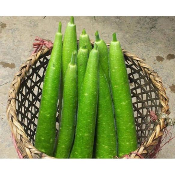 Hạt Giống Bầu Sao Qủa Dài (25-30 Hạt) Dễ Trồng, Năng Suất Cao - MUA 3 TẶNG 1 CÙNG LOẠI