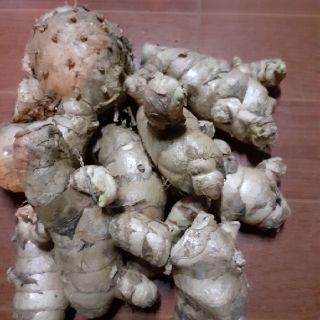 Nghệ trắng rừng,500g