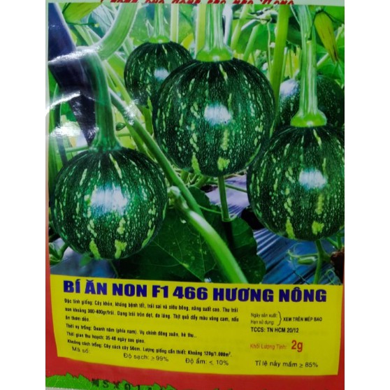 HẠT BÍ ĂN NON F1 - GÓI 2 GRAM