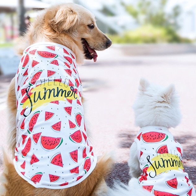 áo ba lỗ dưa hấu mùa hè cho chó giống lớn