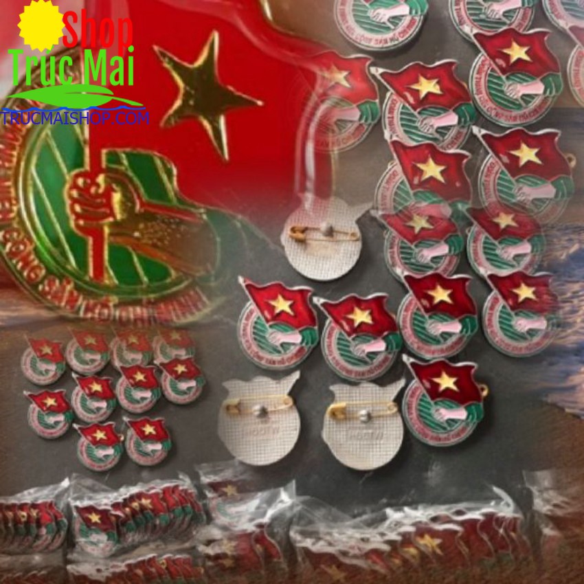 Huy Hiệu Đoàn Việt Nam