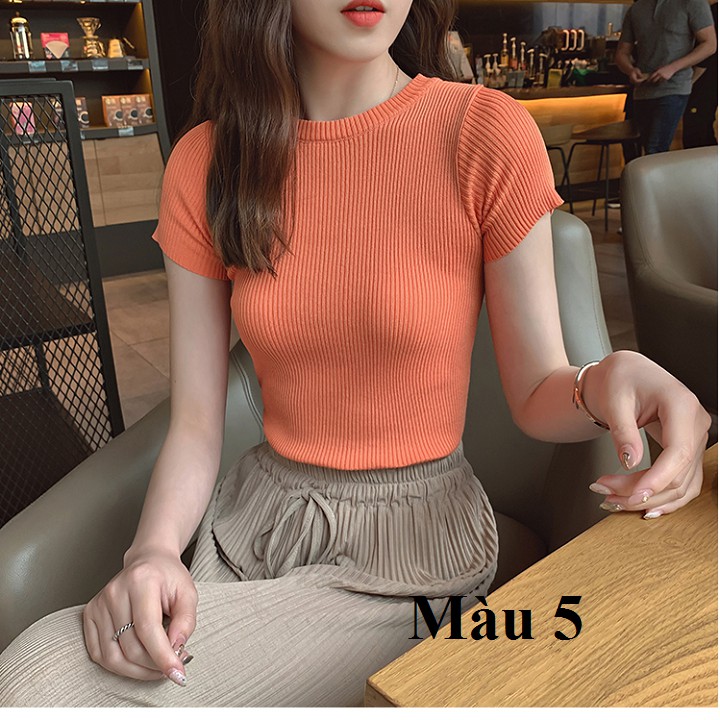 áo len tăm nữ cộc tay cổ tròn