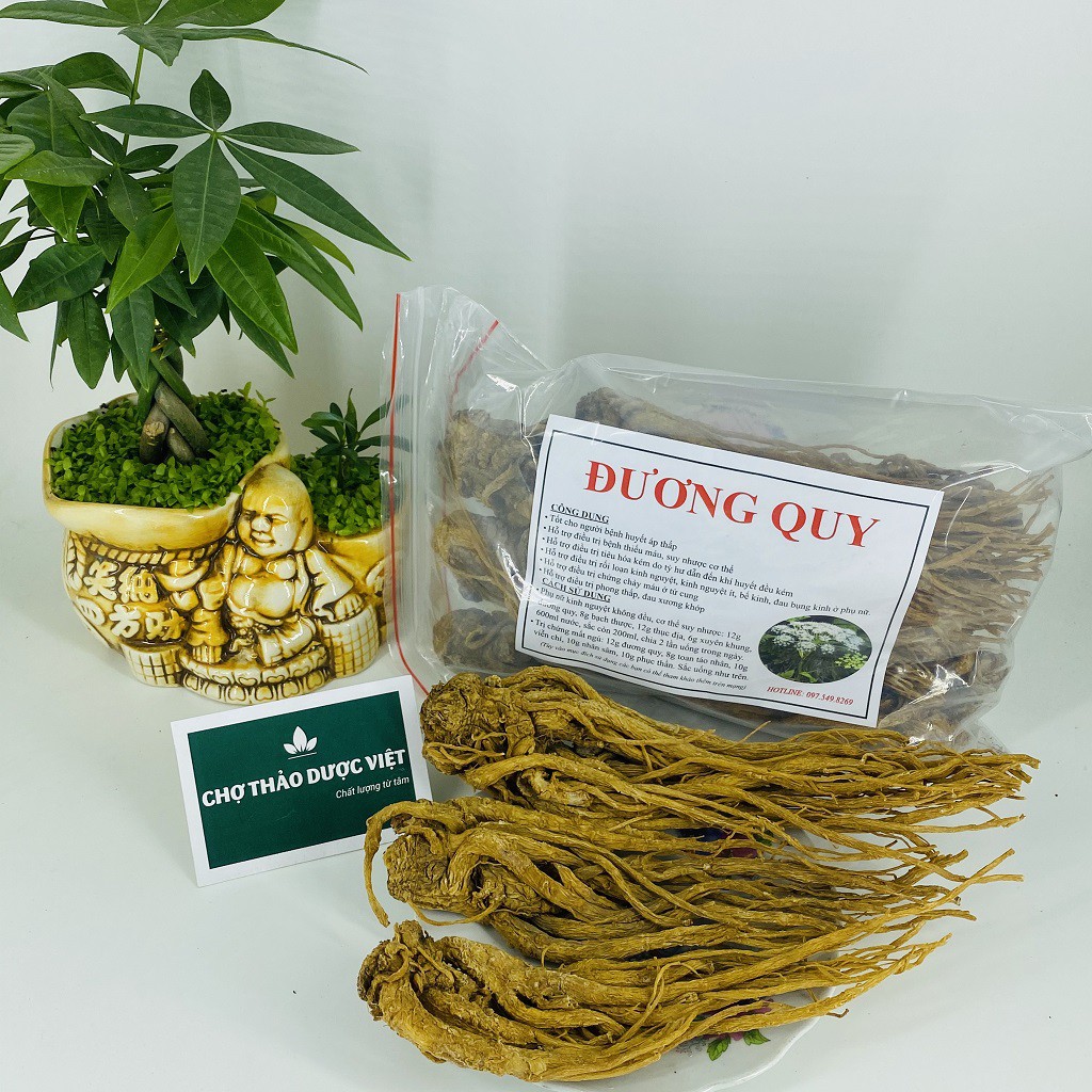 Sâm đương quy 500g (Củ đương quy, đương quy khô, loại 1) - Chợ Thảo Dược Việt