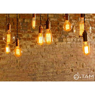Bóng đèn sợi tóc Edison T64 TAN