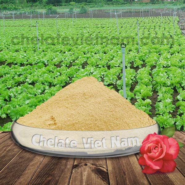 Đạm cá  cải tạo đất, tăng khả năng hấp thụ dinh dưỡng gói 1 kg