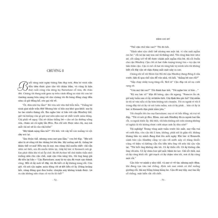 Sách - Đỉnh Gió Hú (Bìa Mềm)