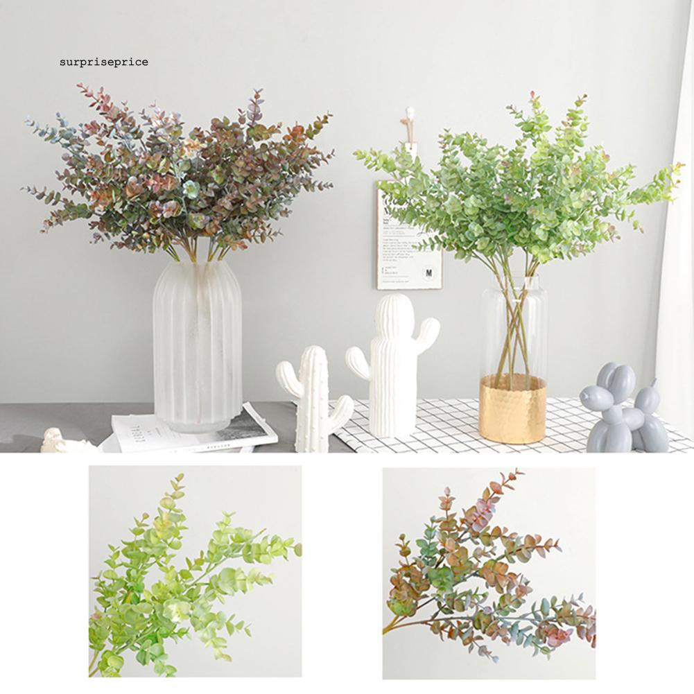 Nhánh lá bạch đàn giả đa năng chất lượng cao