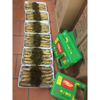 SÂM TƯƠI HÀN QUỐC 10 CỦ 1 KG